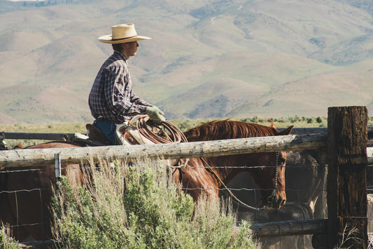 Rooted in Faith, Freedom & Flannel: Welcome to Southern Country Closet