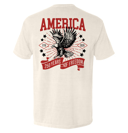 Back of America 250 Years of Freedom Shirt featuring eagle design, 1776–2026 anniversary graphic.
